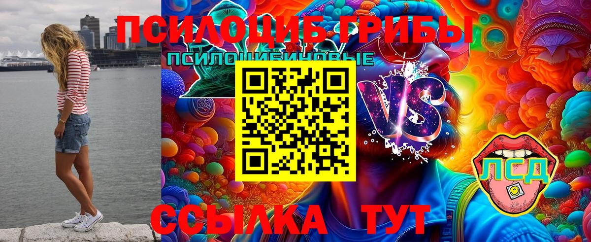 Псилоцибиновые грибы MAGIC MUSHROOMS Раменское